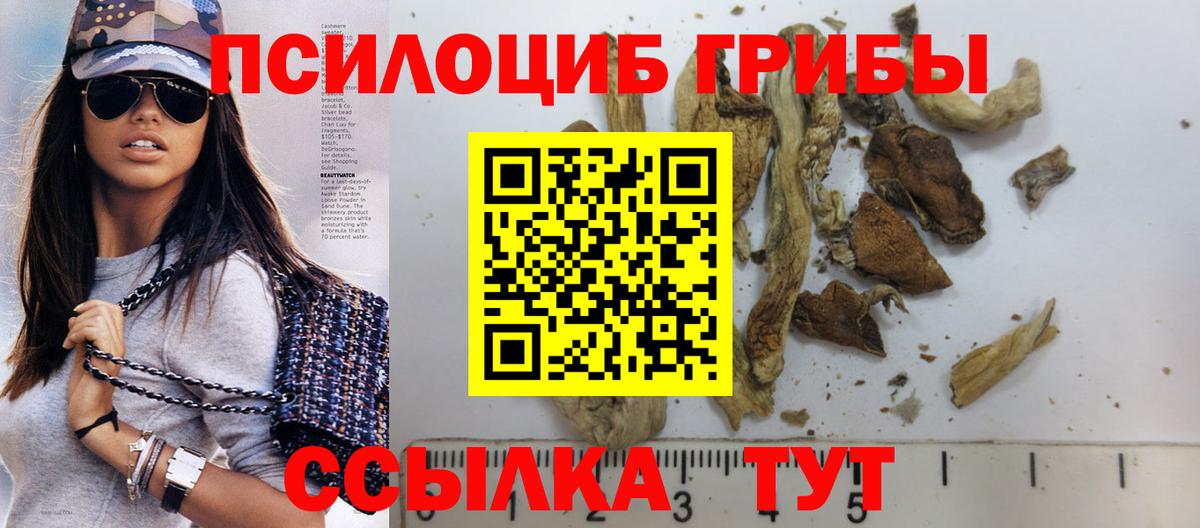 Псилоцибиновые грибы MAGIC MUSHROOMS  Вход с VPN  Кувандык  Псилоцибиновые грибы GOLDEN TEACHER 